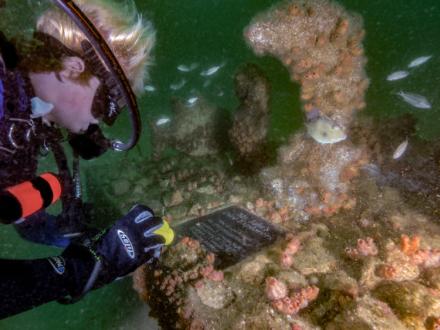 Poisedon's Playground Dive Site