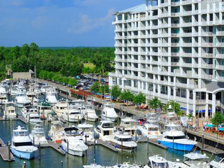 Blue Marlin Grand Championship of the Gulf