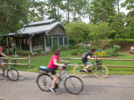 Family biking on the Hugh S Branyon Backcountry Trail in Gulf State Park