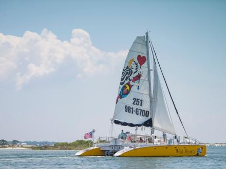 Sail Wild Hears in Orange Beach, AL
