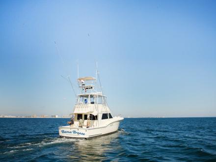 Book A Fall Tuna Fishing Trip Gulf Shores Orange Beach