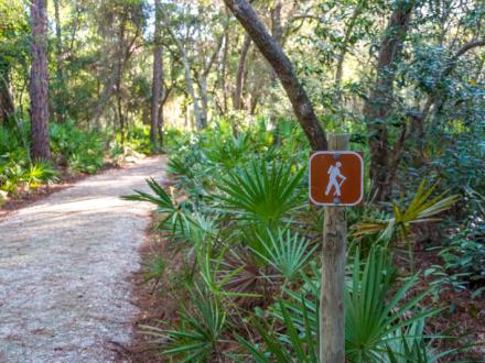 Bon Secour National Wildlife Refuge Gulf Shores, AL