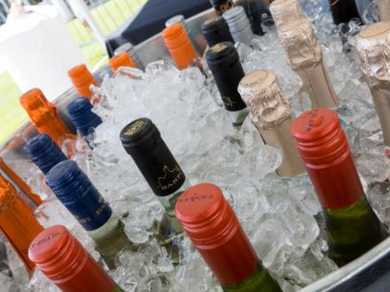 Wine tasting at Perdido Vineyards