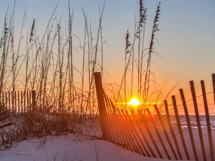 Beach Sunrise