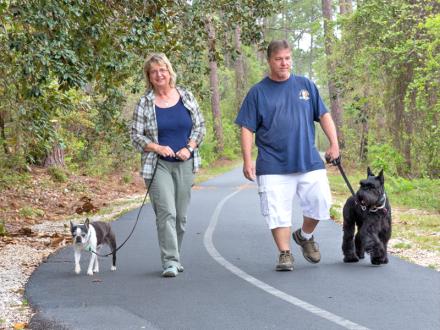 Dog walking at nature trail