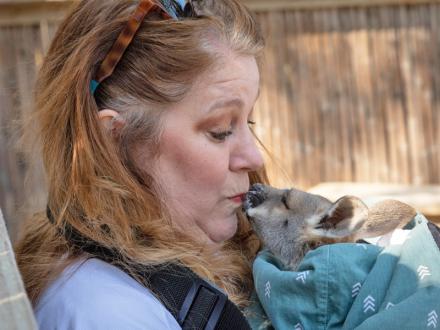 Animal Encounters at Alabama Gulf Coast Zoo