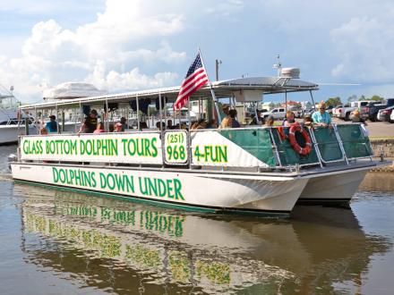 Orange Beach Dolphin Cruise