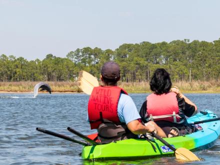 Wild Native Eco-Tours
