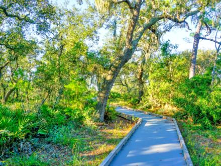 Bon Secour Hiking Trails