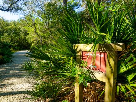 Jeff Friend Trail at Bon Secour