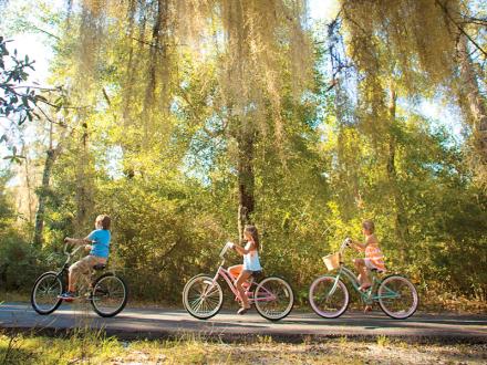 Kids Biking the Backcountry Trail