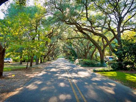 Road Trip To Coastal Mississippi and Explore The Gulf Coast!