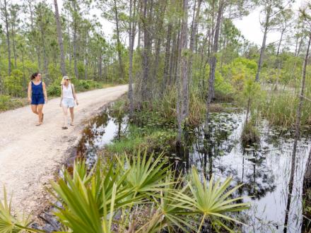 Women walking on the trails at Bon Secour National Wildlife Refuge