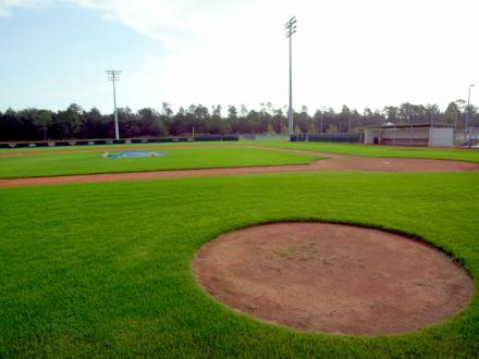 Baseball Field Gulf Shores