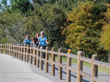 Hugh S. Banyon Back Country Trail
