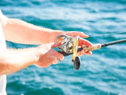 Sea Fishing, Shimano, Fishing equipment, Sports & leisure