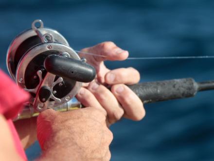 Fishing Charter Orange Beach
