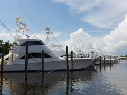 Charter Boats Orange Beach