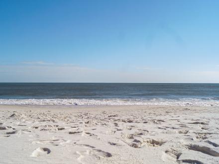 Shell Beach Orange Beach