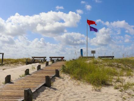 Beach Flags