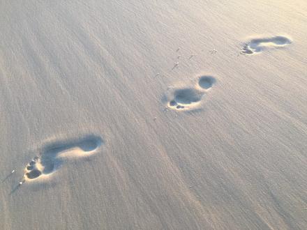 Leave Only Footprints