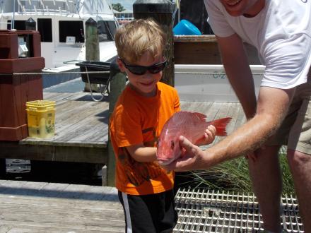 Red Snapper Fishing Orange Beach