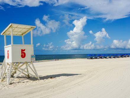 Orange Beach Lifeguard
