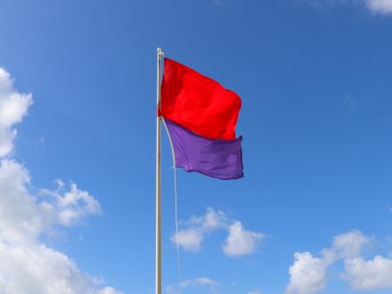 Beach Flags