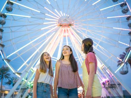 The Wharf Ferris Wheel