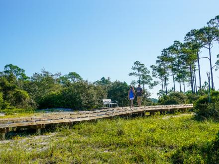 Bon Secour Wildlife Refuge