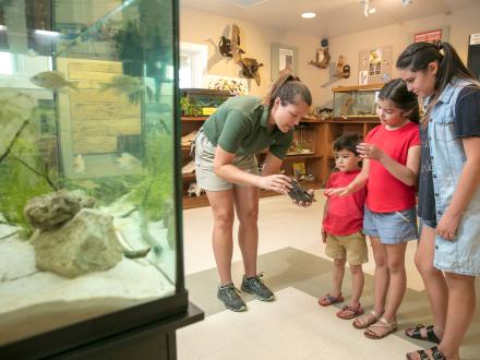 Gulf State Park Nature Center