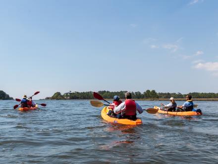 Kayaking Orange Beach