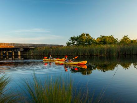 Kayaking in Gulf Shores