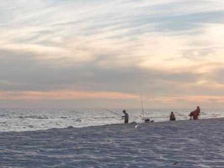 Surf anglers enjoying a serene evening of surf fishing on the shores of Alabama’s beaches