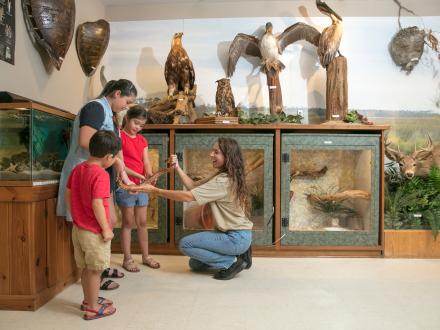 Gulf State Park Nature Center