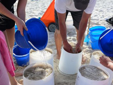 Sand Castle University Gulf Shores