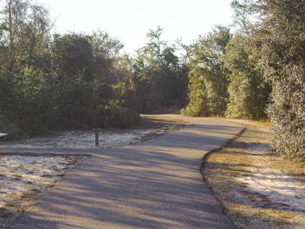 Gulf State Park Trail