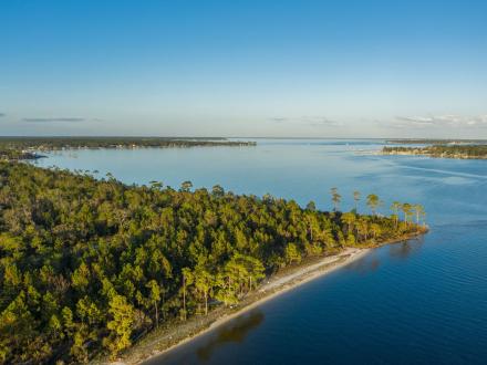 Orange Beach Aerial