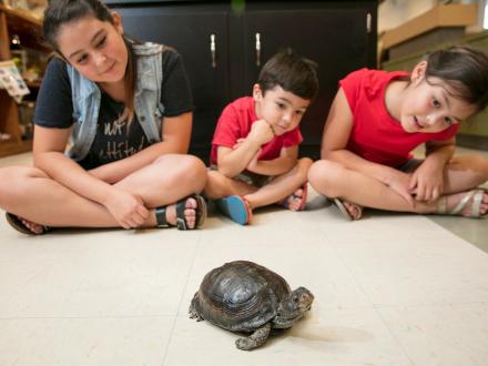 Gulf State Park Nature Center