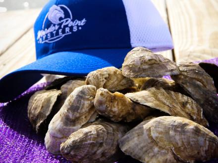 Murder Point Oysters