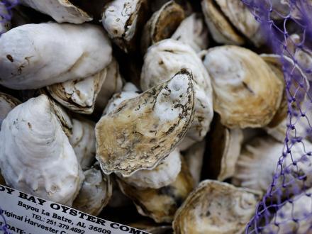 Murder Point Oysters Orange Beach