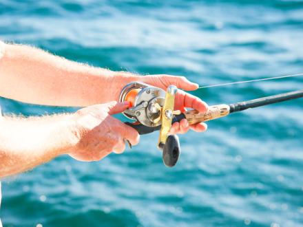 Deep Sea Fishing Orange Beach
