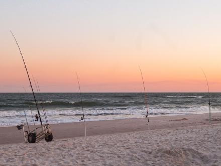 Surf Fishing Orange Beach