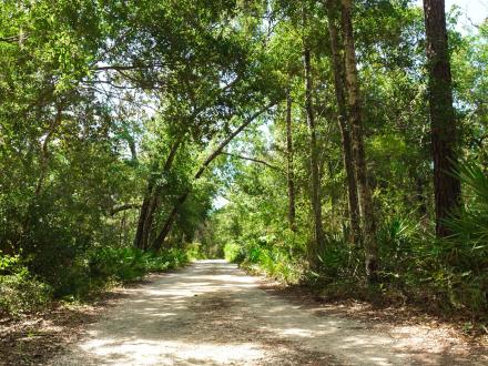 Bon Secour Nature Trail