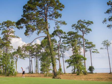 Peninsula Golf & Racquet Club