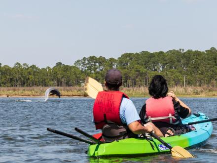 WildNative Dolphin Tour