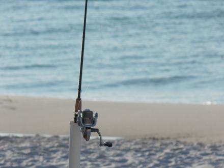 Surf Fishing Gulf Shores