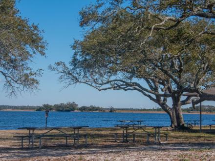Picnic Area Lake Shelby