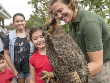 Owl at Gulf State Park Nature Center