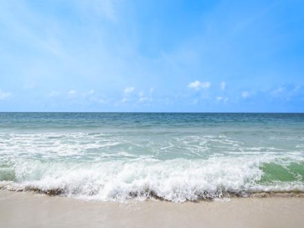 Gulf Shores Orange Beach, AL